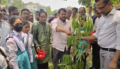 রাজশাহী কোর্ট একাডেমিতে বৃক্ষরোপণ কর্মসূচির উদ্বোধন