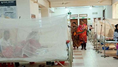 ডেঙ্গুতে আরও ৫ জনের মৃত্যু