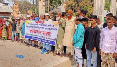 মান্দায় পাউবোর গাছ লুট সংক্রান্ত সংবাদের প্রতিবাদে সমাবেশ