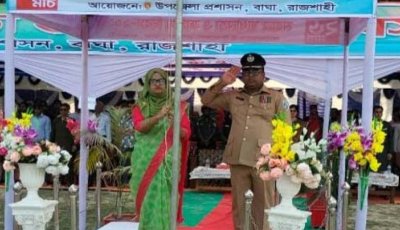 বাঘায় স্বাধীনতা দিবস পালন