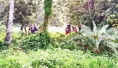 গোমস্তাপুরের বাঙ্গাবাড়ি সীমান্তে ২৮ জনকে পুশইনের চেষ্টা ব্যর্থ, ফিরিয়ে নিয়েছে বিএসএফ