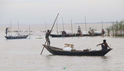 পদ্মা থেকে হারিয়ে যাচ্ছে দেশীয় মাছ