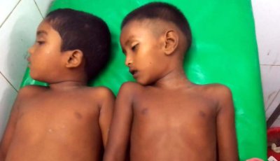 পুকুরে ডুবে ভাইবোনসহ চার শিশুর মৃত্যু