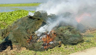 চলনবিলে ৪ লাখ টাকার চায়না দুয়ারি জাল পুড়িয়ে ধ্বংস