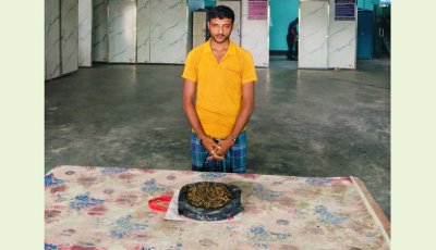 সিংড়ায় গাঁজাসহ যুবক গ্রেপ্তার