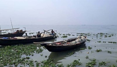 দুই মাস পদ্মা-মেঘনায় ইলিশসহ সব ধরনের মাছ ধরা নিষেধ