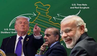 কাশ্মীর ভূখণ্ড ভারতেরই, ‘বন্ধু’ ইসলামাবেদর দাবি উড়িয়ে স্পষ্ট করল আমেরিকা, চরম অস্বস্তি ইসলামাবাদের