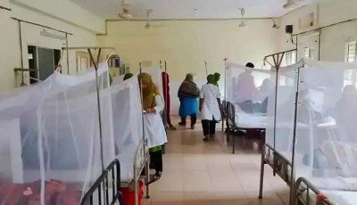 দেশে ২৪ ঘণ্টায় ডেঙ্গুতে আরও ৯ জনের মৃত্যু