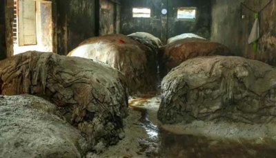 দুই হাজার টাকার চামড়া বিক্রি হচ্ছে ৫০০ টাকায়