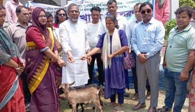 বড়াইগ্রামে ক্ষুদ্র নৃগোষ্ঠীর ৫৬ পরিবার পেলো ২ টি করে ছাগল ও উপকরণ