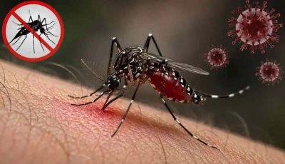 ডেঙ্গুতে মৃত্যু ৩০০ ছাড়াল, আক্রান্ত লাখ ছুঁইছুঁই