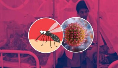ডেঙ্গুতে আরও ৬ জনের মৃত্যু