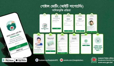 পোস্টাল ব্যালটে ভোট দিলেন ৪ লাখের বেশি প্রবাসী