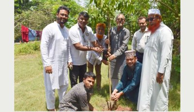 মাদ্রাসার শিক্ষার্থীদের মাঝে চেম্বার নেতৃবৃন্দের গাছের চারা বিতরণ