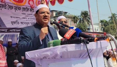 দাঁড়িপাল্লার এক পাল্লায় আমেরিকা, অপর পাল্লায় ভারত: চরমোনাই পীর