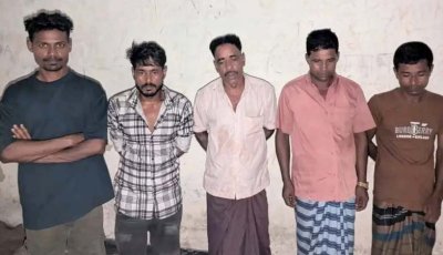 পিকআপে ছিল ৯০০ কেজি ঘোড়ার মাংস, বিক্রি হতো হোটেল-রেস্তোরাঁয়