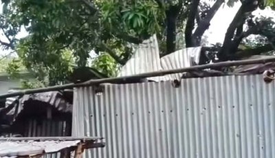 তানোরে আকস্মিক ঝড়ে উড়ে গেলো বাড়ির টিনের চালা