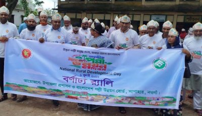 সাপাহারে জাতীয় পল্লী উন্নয়ন দিবস উদযাপন