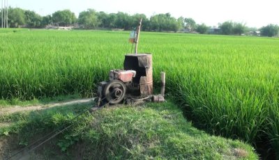জ্বালানি সংকট ও সেচ স্বল্পতায় লিচুসহ ফসল উৎপাদনে শঙ্কায় কৃষক