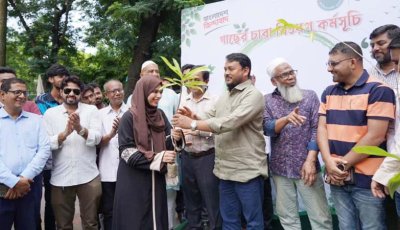 রাজশাহী কলেজ ছাত্রদলের উদ্যোগে গাছের চারা বিতরণ কর্মসূচি অনুষ্ঠিত