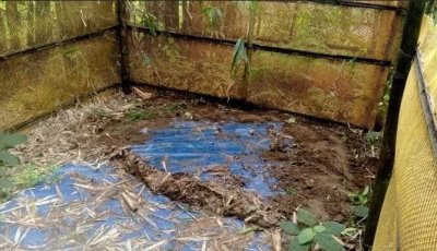ঠাকুরগাঁওয়ে কবরস্থান থেকে ৫ কঙ্কাল চুরি