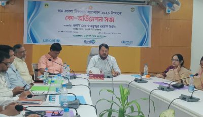 হাম-রুবেলা টিকাদান ক্যাম্পেইন উপলক্ষে কো-অর্ডিনেশন সভা অনুষ্ঠিত