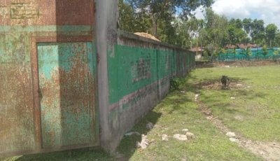 দীর্ঘদিন রং না করায় বিবর্ণ নতুন হাট আদর্শ বালিকা উচ্চ বিদ্যালয়ের গেট-প্রাচীর