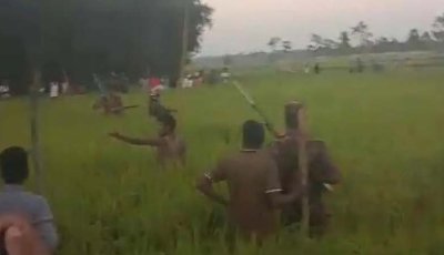 লালমনিরহাটে বাঘের আক্রমণে নারীসহ আহত ৩
