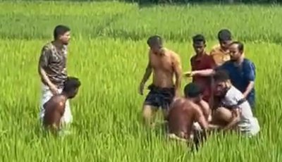 ধান খেতে ছিঁড়ে পড়া বিদ্যুতের তারে জড়িয়ে ২ কৃষকের মৃত্যু