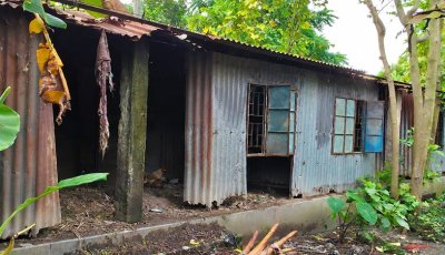 চারঘাটে জরাজীর্ণ ঘর ও মাদকের দাপটে বিপর্যস্ত আশ্রয়ণ প্রকল্প