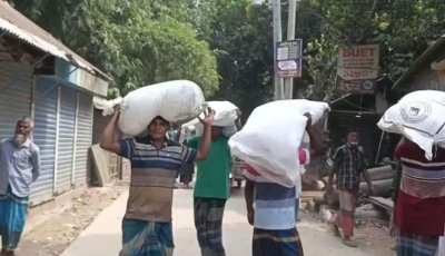 কুড়িগ্রামে যে কারণে সার নিয়ে ‘হাহাকার’