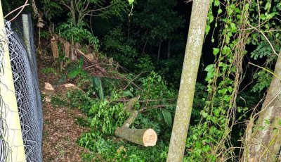 সান্তাহারে মিলারের বিরুদ্ধে খাড়ির পাড় দখল ও জমিতে বর্জ্য ফেলার অভিযোগ