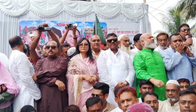 যতই সংকট আসুক না কেন বিএনপিকে কেউ ধ্বংস করতে পারবে না : হুইপ দুলু