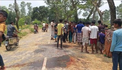 সাত জেলায় সড়ক দুর্ঘটনায় নিহত ১১