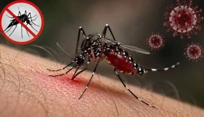 ডেঙ্গুতে সেপ্টেম্বরেই মৃত্যু ১৫২ জন