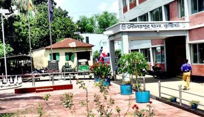কুষ্টিয়ায় জমির বিরোধে ‘ভাইয়ের হাতে’ ভাই খুন