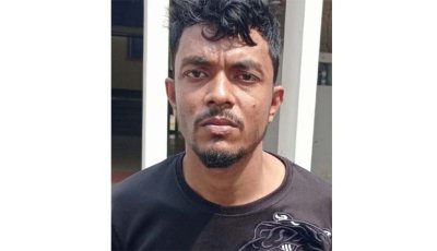 বদলগাছীতে মোটর সাইকের ছিনতাইকারী গ্রেফতার