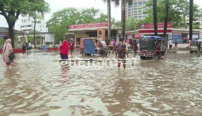 বৃষ্টিতে আমনখেতে স্বস্তি, জলাবদ্ধতায় দুর্ভোগ