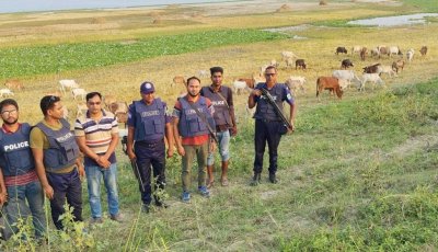 চার জেলা সীমান্তের পদ্মার চর সন্ত্রাসীদের অভায়রণ্য