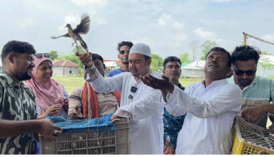 বাঘায় পদ্মার চরে ৩ শতাধিক পাখি অবমুক্ত