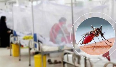 ডেঙ্গুতে আক্রান্ত হয়ে হাসপাতালে ২১৫৮ জন, মৃত্যু ৬
