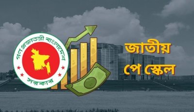 সব গ্রেডের সরকারি কর্মচারীরা পাবেন মোবাইল ভাতা