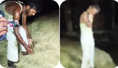 রাগের চোটে কোবরাকেই কামড়!