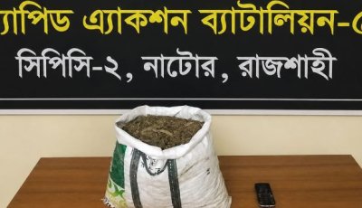 নাটোরে গাঁজাসহ মাদক ব্যবসায়ী গ্রেফতার