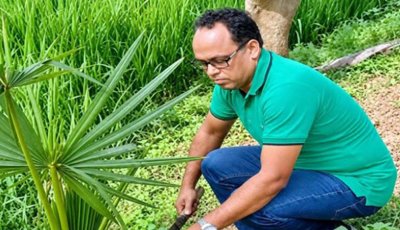 মহাদেবপুরে গাছের পরিচর্যায় ব্যস্ত আরিফুর