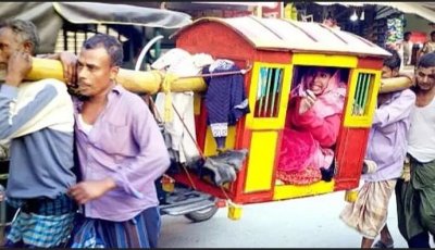 ফরিদপুরে পালকিতে চড়ে বিয়ে