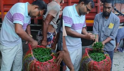 সোনামসজিদ স্থলবন্দর দিয়ে ৯ মাস পর কাঁচা মরিচ আমদানি শুরু