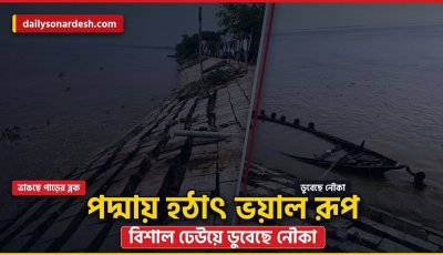 কী হয়েছিল পদ্মা নদীতে?