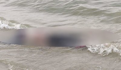 বাঘায় পদ্মায় ডুবে মহিষের রাখালের মৃত্যু
