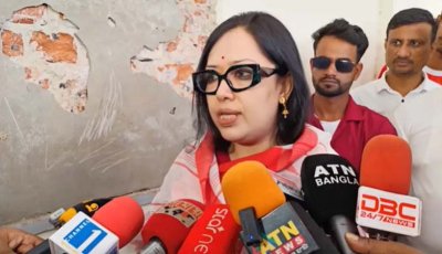 আমার কমনসেন্স বলে শেখ হাসিনা ফিরে আসবে:  রুমিন ফারহানা